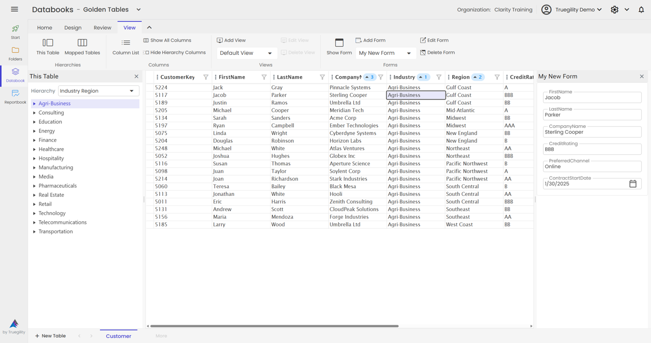 Clarity Databook form showing generated ID behavior, editable fields, and a streamlined governed data entry layout.