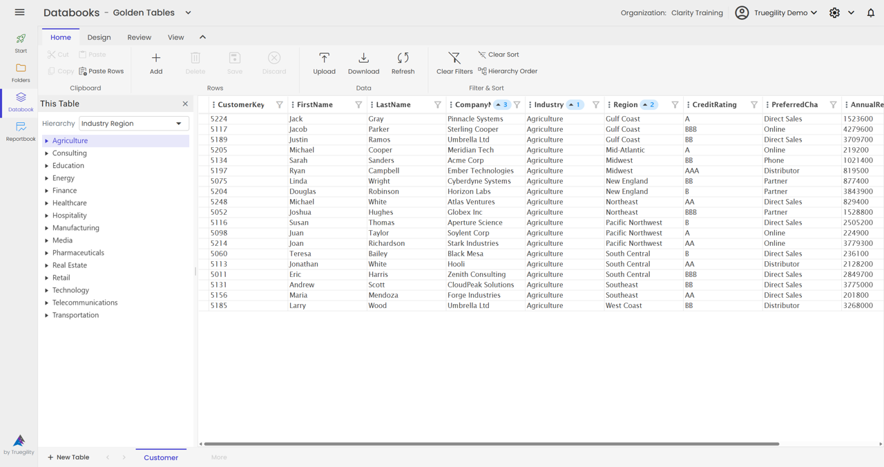 Clarity Databook import wizard showing source selection, column mapping, and governed table setup options.