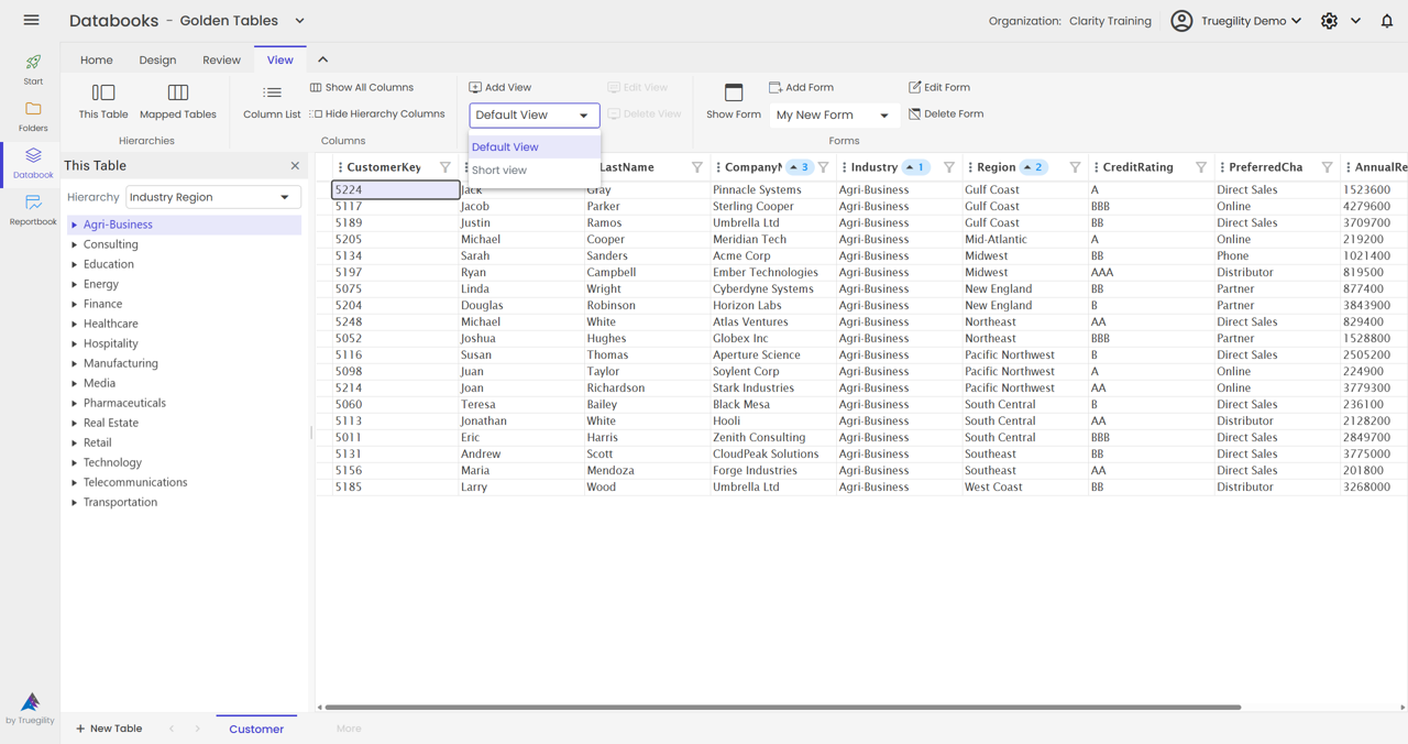 Clarity hierarchy tree showing Databook member ordering, editable labels, and governed filtering across table records.